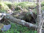 Деревоземляное укрытие для противотанкового орудия